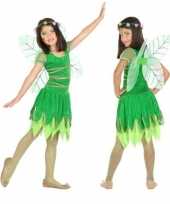 Toverfee elfje fay verkleed carnavalskleding jurkje voor meisjes